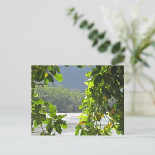 Kap Tribulation - Australien Postkarte (Stehend Vorderseite)