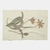 Kap Tulip Botanische Illustration Geschirrtuch (Horizontal)
