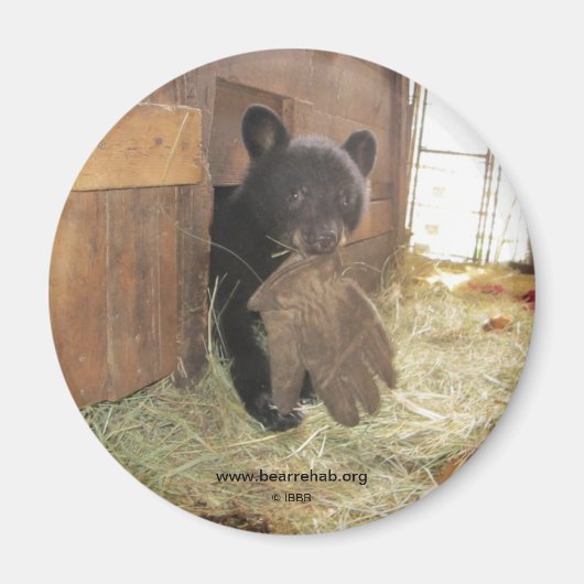 Kapalua mit Handschuh - Magnet (Vorne)