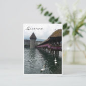 Kapellbrücke Schwäne Postkarte (Stehend Vorderseite)