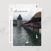 Kapellbrücke Schwäne Postkarte (Vorne/Hinten)