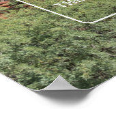 Kapelle des Heiligen Kreuzes, Arizona Poster (Ecke)