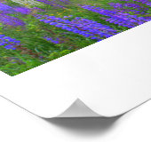 Kapelle im Lupine Mindscape Poster (Ecke)