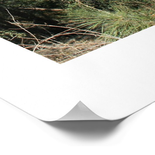 Kapelle Poster (Ecke)