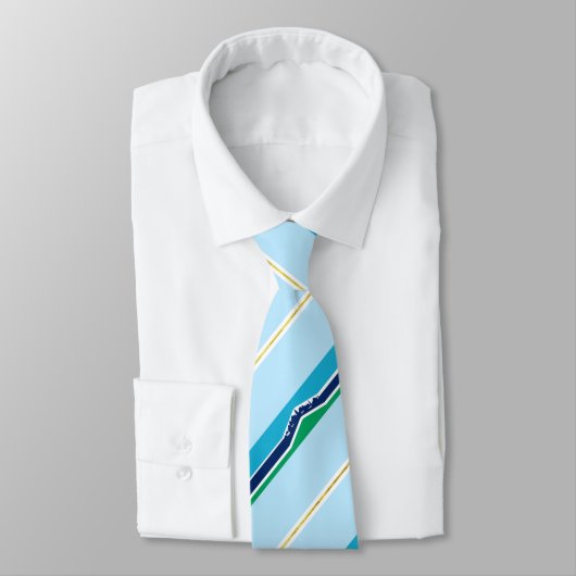 Kapellhügel (North Carolina) Stadtflagge Neck Tie Krawatte (Gebunden)