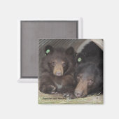 Kapiolani und Shadow - Quadratmagnet Magnet (Vorderseite/Rückseite)