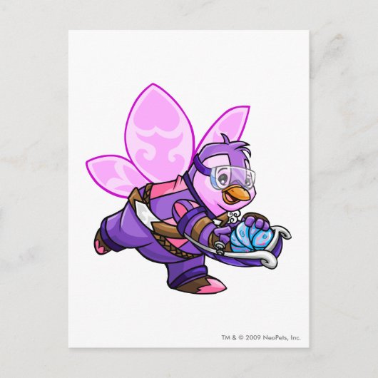 Kapitän 2 postkarte (Vorderseite)