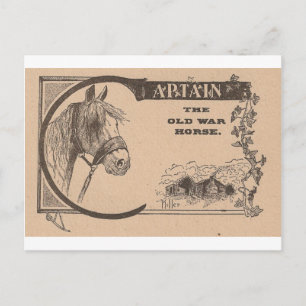 Kapitän Das Alte Kriegspferd Postkarte