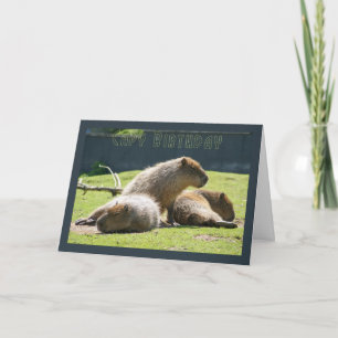 Kapitän Geburtstag - Capybara Geburtstagskarte Karte