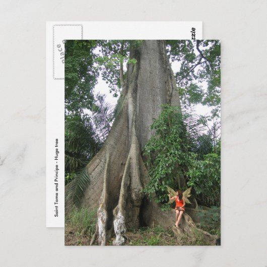 Kapok Baum und Märchen Postkarte (Vorne/Hinten)