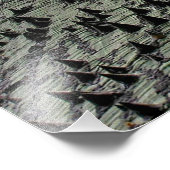 Kapok Tree @ Funchal, Portugal Foto Print (Ecke)