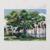 Kapok Tree Postcard Postkarte (Vorderseite)