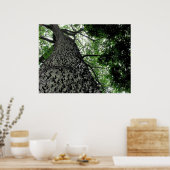 KapoK Tree Print Poster (Küche)