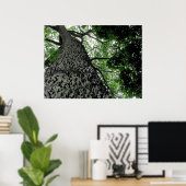KapoK Tree Print Poster (Heimbüro)