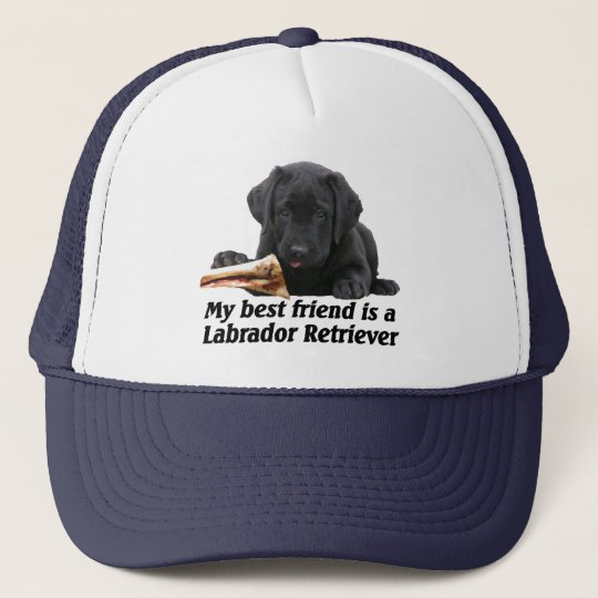 Kappe "Labrador retriever "
