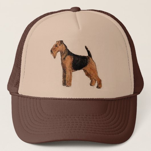 Kappe Walisers Terrier (Vorderseite)