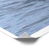 Kappen-Merganser-Entenposter Poster (Ecke)
