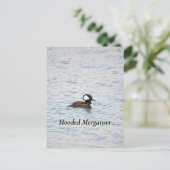 Kappenmerganser Postkarte (Stehend Vorderseite)