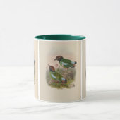 Kappenpitta von John Gould Tasse (Zentrum)