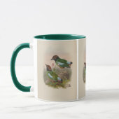 Kappenpitta von John Gould Tasse (Links)