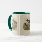 Kappenpitta von John Gould Tasse (Vorderseite Links)