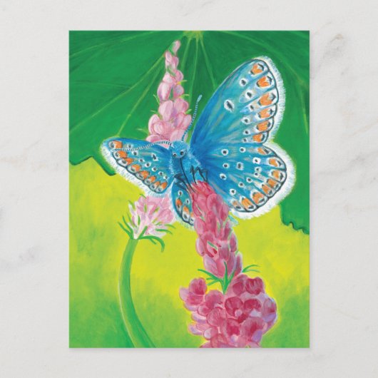 Kappmans-Blauer Schmetterling (Polyommatus-Heilkrä Feiertagspostkarte (Vorderseite)