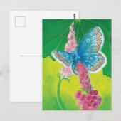 Kappmans-Blauer Schmetterling (Polyommatus-Heilkrä Postkarte (Vorne/Hinten)