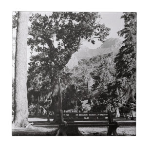 Kapstadt De Waal Park Berg Südafrika ZA Fliese