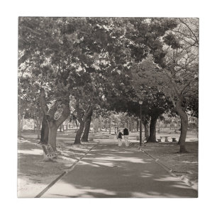 Kapstadt De Waal Park Südafrika ZA Fliese