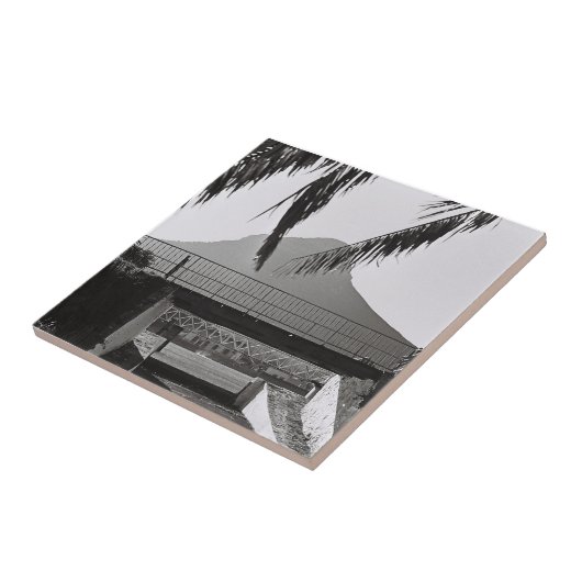 Kapstadt Löwen Leiter Südafrika ZA Fliese (Seite)