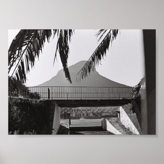 Kapstadt Löwen Leiter Südafrika ZA Poster (Vorne)