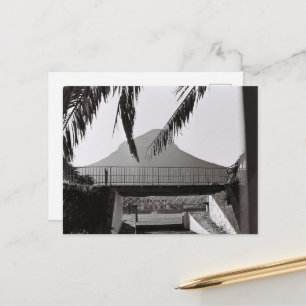 Kapstadt Löwen Leiter Südafrika ZA Postkarte