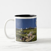 Kapstadt, Südafrika. Ein Leuchtturm auf der Zweifarbige Tasse (Links)