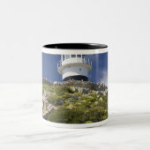 Kapstadt, Südafrika. Ein Leuchtturm auf der Zweifarbige Tasse (Mittel)