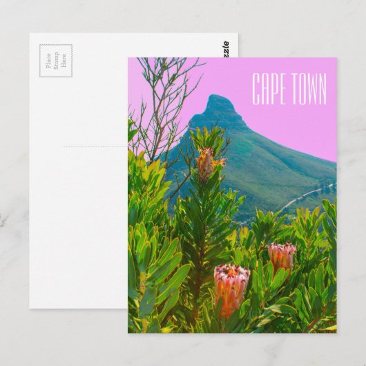 Kapstadt Südafrika Protea Löwe Kopf Postkarte (Vorne/Hinten)