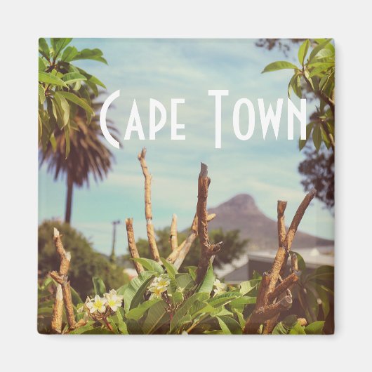 Kapstadt Tafelberg Löwe Kopf Magnet (Vorne)