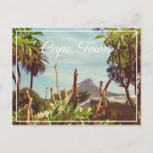 Kapstadt Tafelberg Löwe Kopf Postkarte