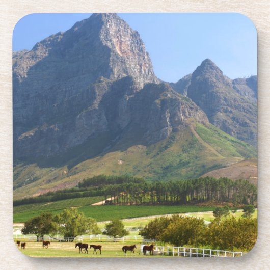Kapstadt, Western Cape, Südafrika Getränkeuntersetzer (Vorderseite)
