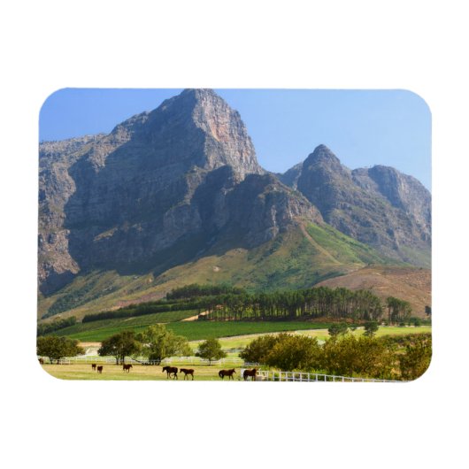 Kapstadt, Western Kap, Südafrika Magnet (Horizontal)
