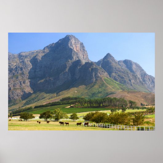 Kapstadt, Western Kap, Südafrika Poster (Vorne)