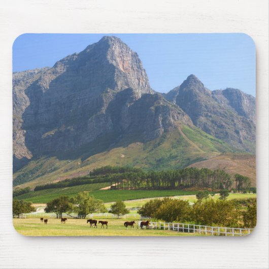 Kapstadt, Westkap, Südafrika Mousepad (Vorne)