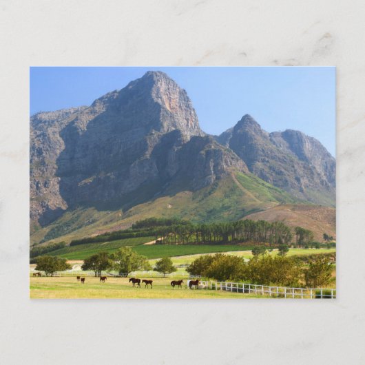 Kapstadt, Westkap, Südafrika Postkarte (Vorderseite)