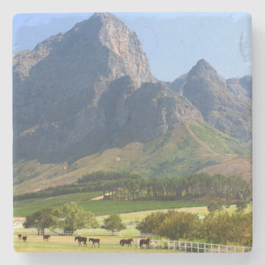 Kapstadt, Westkap, Südafrika Steinuntersetzer (Vorderseite)
