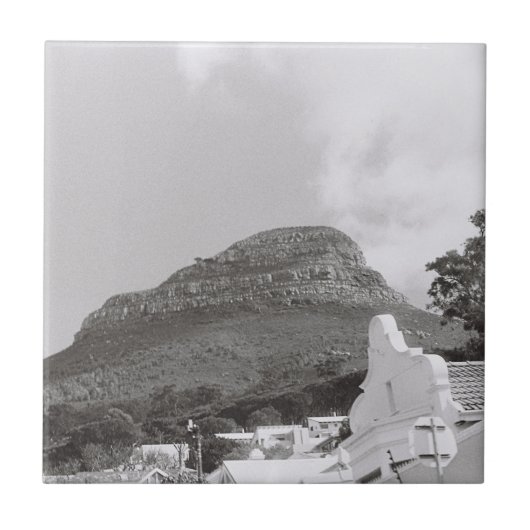 Kapstadt ZA Südafrika Löwe Leiter Fliese (Vorderseite)