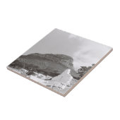 Kapstadt ZA Südafrika Löwe Leiter Fliese (Seite)