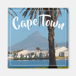 Kapstadt ZA Südafrika Löwe Leiter Magnet