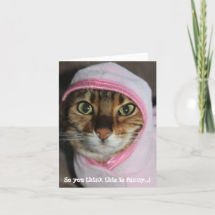 Kapuzen-Bengal-Katze, "Du denkst also, das ist lus Feiertagskarte