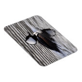 Kapuzendrake Magnet (Rechte Seite)