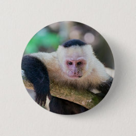 Kapuzineraffe Button