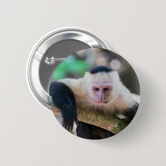 Kapuzineraffe Button (Vorne & Hinten)